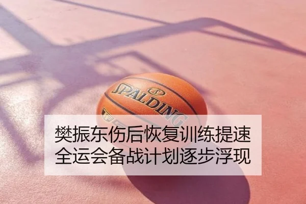 樊振东伤后恢复训练提速 全运会备战计划逐步浮现