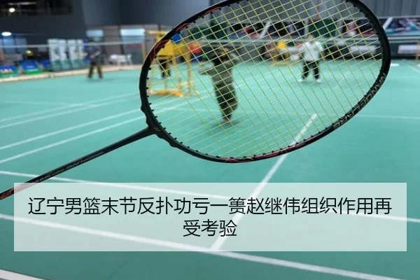 辽宁男篮末节反扑功亏一篑赵继伟组织作用再受考验