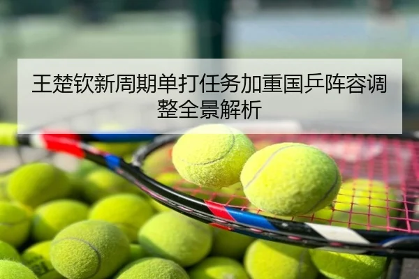王楚钦新周期单打任务加重国乒阵容调整全景解析